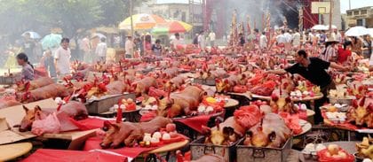dead-pig1