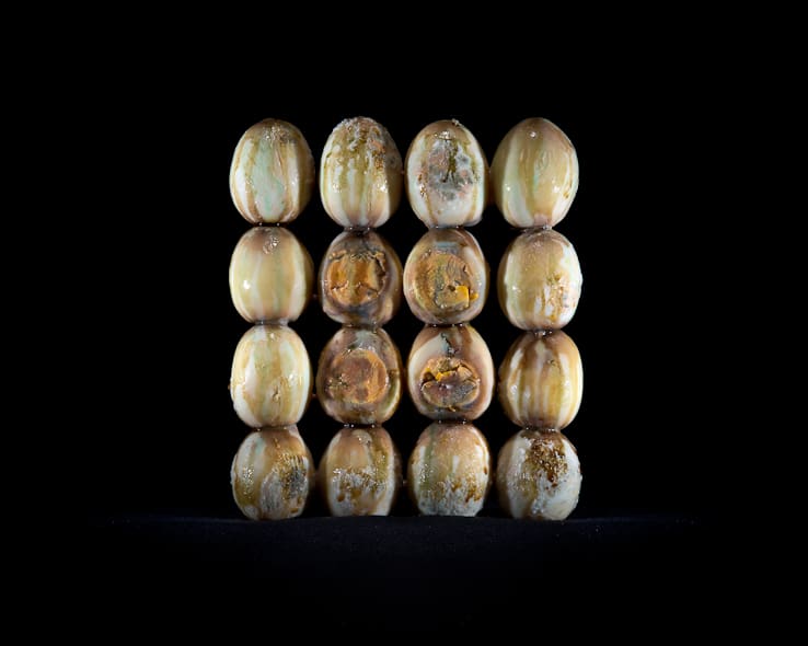 One third - a project on food waste