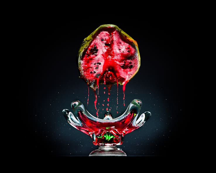 One third - a project on food waste