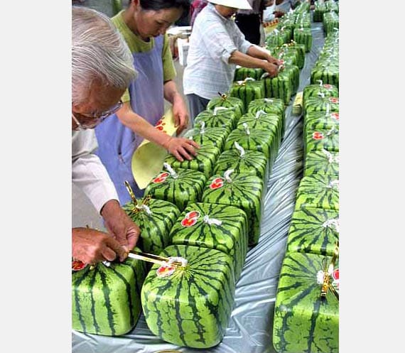 Cubic-Watermelons-100-dollars