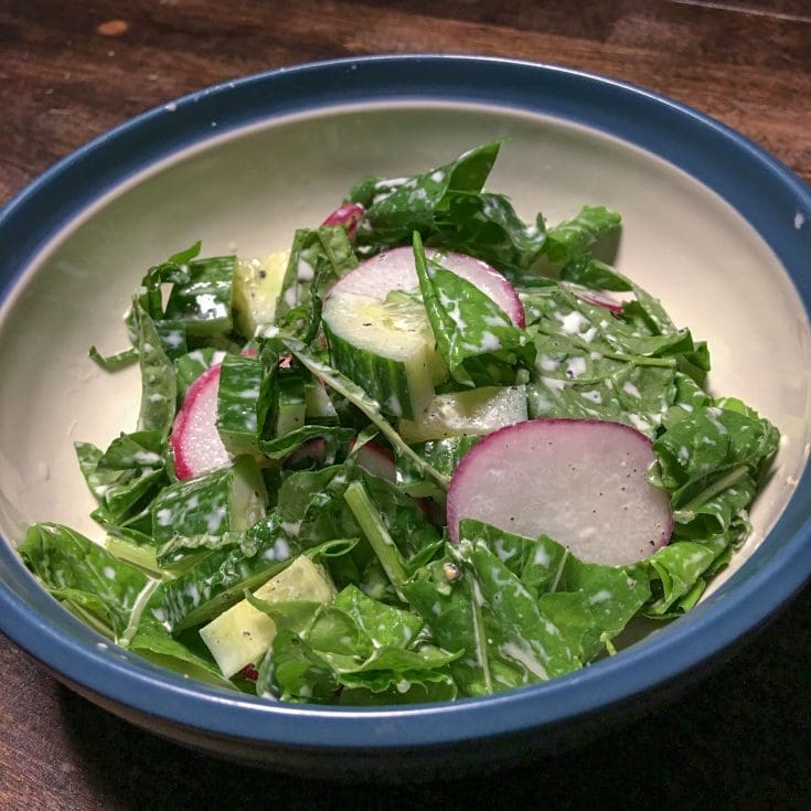 Salade à la crème, concombre, radis et roquette